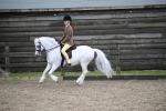 SBM_005956