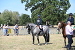 WJ6_8464