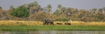 Welcome to Africa!