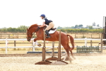 SBM_004309