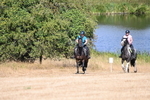 WJ6_8457