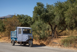 Olive oil delivery