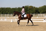 SBM_005726