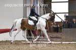 BPP_8570