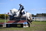 WJ5_7995