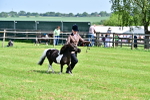 SBM_03499