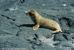 Santiago island
