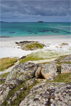 Eriskay Light