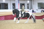 SBM_08911