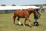 SBM_06985