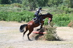 WJ7_4504
