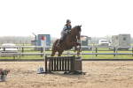 SBM_003480
