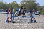 BPP_1704