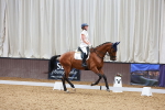 SBM_003793