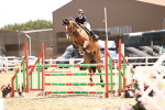 SBM_003818