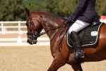 SBM_002903