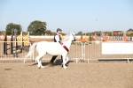 SBM_00163