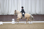 SBM_008026