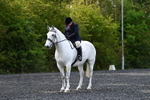 WJ5_8981