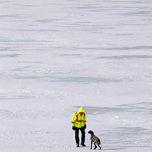A master utilizes the vastness of a frozen riverbed to train his hunting dog.