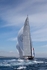 J Class, Falmouth Bay