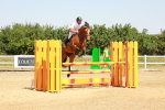 SBM_001296