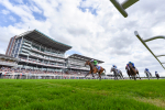 240824-Race 3-Breege-4524