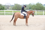 SBM_006590