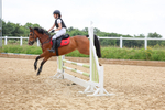 Class 13: Pony British Noise/80cm open portfolio
