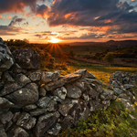 Country Sunset