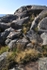 GeorgianBay11-009