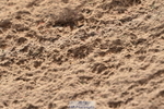 231015A-151844-08916