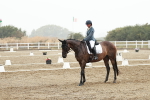 SBM_003912