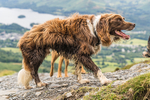 Skiddaw-15