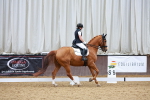 SBM_003925