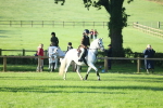 SBM_37363
