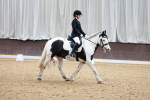 SBM_001293
