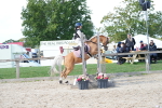 SBM_18162