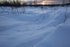Reindeer prints, Karesuando, Northern Sweden