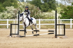 SBM_008070