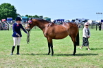 SBM_03865