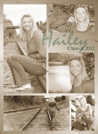 Vintage - hailey