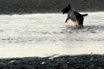 West Wittering - 23