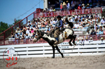 3HRodeo_CFD_JUL_18_2026_03904