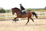 SBM_004715