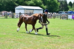 SBM_03878