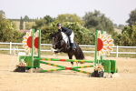 SBM_001929