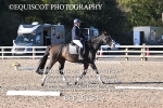 BPP_9154