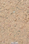 231013A-135652-02449