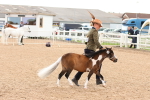 SBM_10331